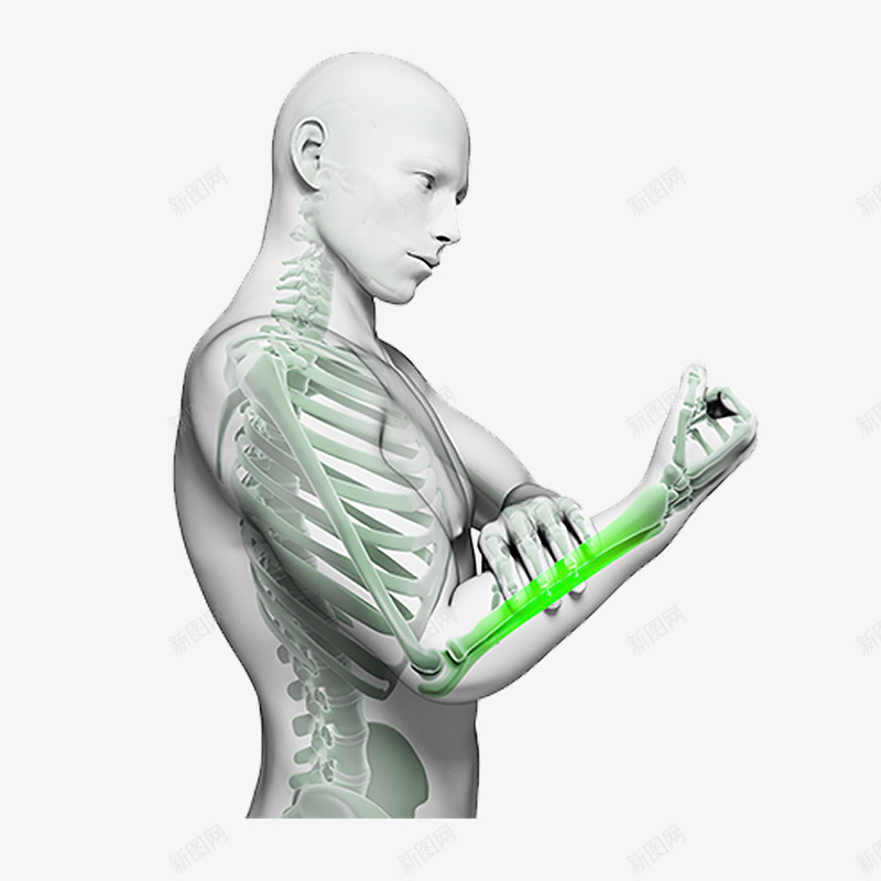 不规则图形医疗人体png免抠素材_88icon https://88icon.com png设计 五脏六腑 人体 免抠图 内脏 医疗 无背景 现代医疗 生病病痛 疼痛 病灶 病症 科技 跌打扭伤 透明 颈椎