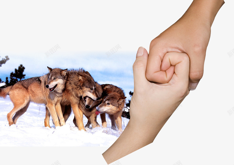 企业文化团结合作png免抠素材_88icon https://88icon.com 企业 合作 团结 文化