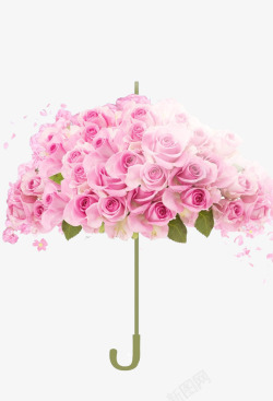 娇艳粉色玫瑰高清图片