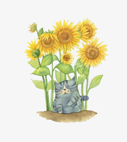 水彩猫咪向日葵鲜花高清图片