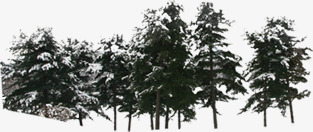 创意海报冬天的森林合成png免抠素材_88icon https://88icon.com 冬天 创意 合成 森林 海报