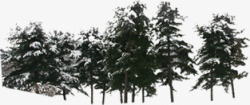 创意海报冬天的森林合成素材