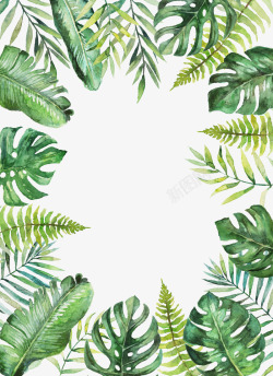 龟背竹海报手绘水彩绿色绿叶背景高清图片
