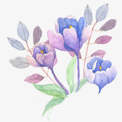 紫色花朵水彩彩绘花卉花朵装饰矢素材