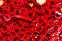 玫瑰爱心丝带海报背景七夕情人节素材