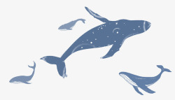 治愈系插画治愈系插画海洋生物鲨鱼遨游高清图片