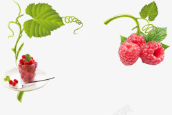 实物树莓产品鲜果果蔬素材