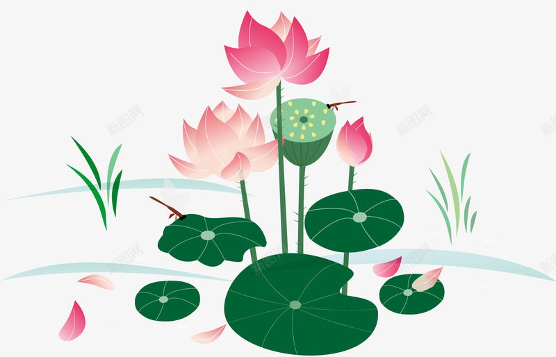 手绘装饰夏荷插画矢量图ai免抠素材_88icon https://88icon.com 夏荷 手绘插画 矢量图 荷花荷叶满池塘 荷叶 荷塘 荷花 装饰图案