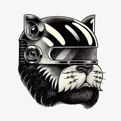 手绘戴头盔的小猫图素材