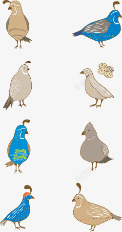 烤鹌鹑蓝色咖色鹌鹑鸟蛋插画形矢量图高清图片