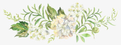 花儿素材手绘水彩唯美花卉高清图片