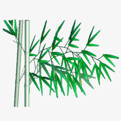 竹子叶子绿色竹叶素材