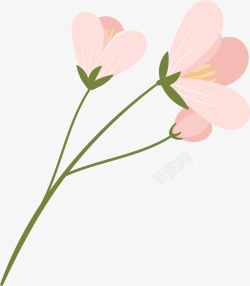 一支花手绘花朵高清图片