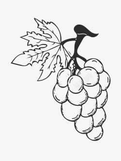 手绘黑色水果树卡通手绘葡萄水果高清图片