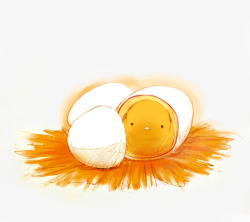 小鸡崽鸡蛋小鸡高清图片