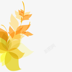 秋季金黄色花素材