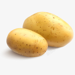 新鲜的土豆照片新鲜土豆3D立体插画矢量图高清图片