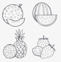 木瓜免抠素材手绘水果线稿矢量图高清图片