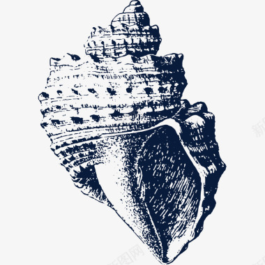 恐怖海报素材手绘海螺贝壳装饰图标图标