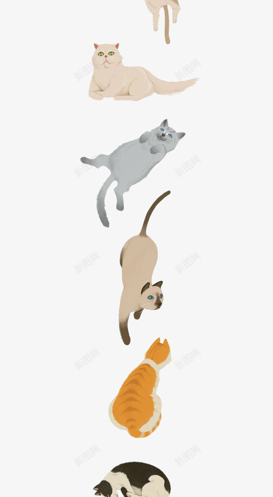 猫咪png免抠素材_88icon https://88icon.com 动物 卡通猫 宠物 手绘 插画