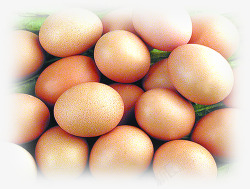 超市鸡蛋产品素材