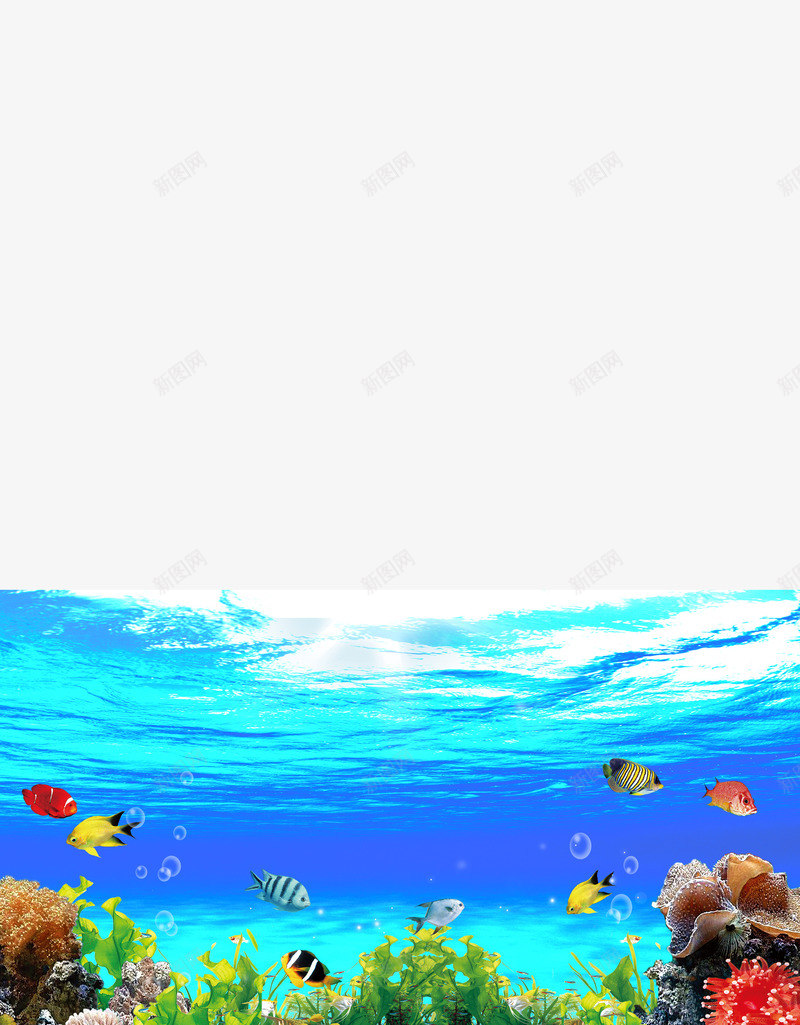 游泳培训大海背景元素psd免抠素材_88icon https://88icon.com 大海 深海 游泳培训 背景元素