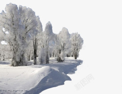冬天里的树冬天的雪景高清图片