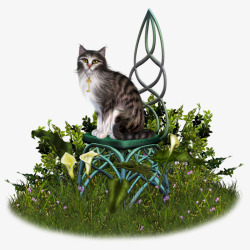 宠物猫绿色草丛素材