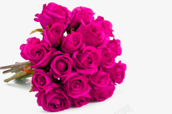 情人节紫玫瑰爱情素材