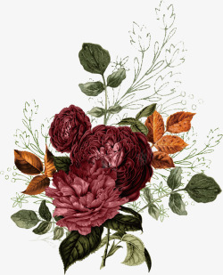 手绘复古清新玫瑰花卉植物矢量图素材