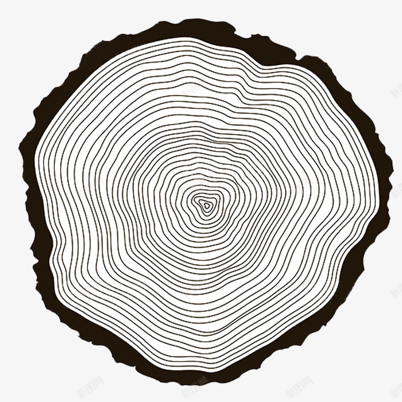 树的年轮图案png免抠素材_88icon https://88icon.com 创意图案 创意年轮纹理 卡通插画 实木年轮 手绘图案 挂画 树的年轮 树纹年轮