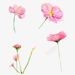卡通手绘粉色花朵插画合集素材