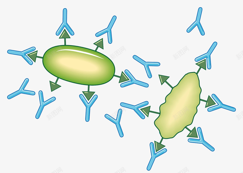 人体免疫系统png免抠素材_88icon https://88icon.com 免疫系统 抗体 插画 病毒 蛋白质