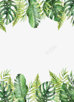 龟背竹海报手绘水彩龟背竹绿叶背景装饰高清图片