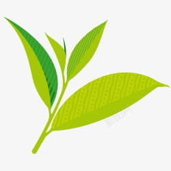 茶文化设计绿茶茶叶插画矢量图高清图片