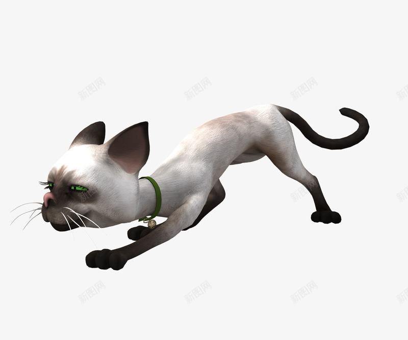 小猫png免抠素材_88icon https://88icon.com 家猫 弓腰 攻击姿势