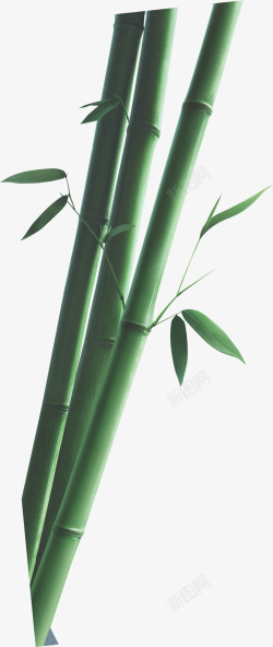 绿色竹子中国风素材