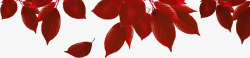 红色树叶凋零素材