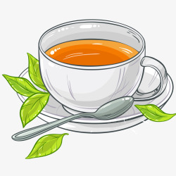 一勺一杯绿茶插画矢量图高清图片