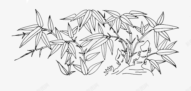 竹子竹子素描png图片免费下载-素材qrszsmmg-88ICON