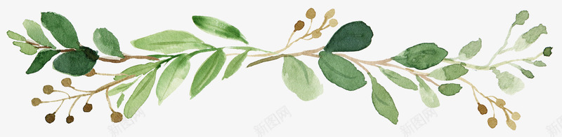 文艺清新花草海报装饰png免抠素材_88icon https://88icon.com 小清新花草装饰 文艺花草PPT制作 植物插画 海报设计 花草包装礼盒 花草插画 花草装饰