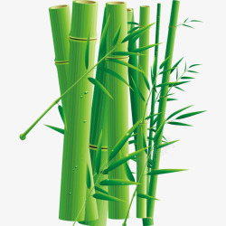 大自然的绿色素材