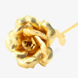 金箔玫瑰花素材