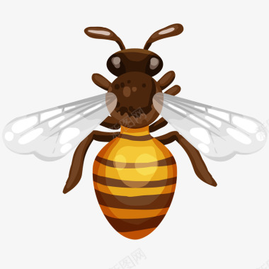 秋季新风尚蜜蜂图标插画矢量图图标