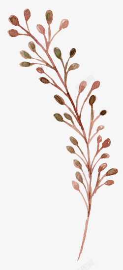手绘红色秋季树叶素材