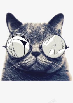 墨镜小猫素材