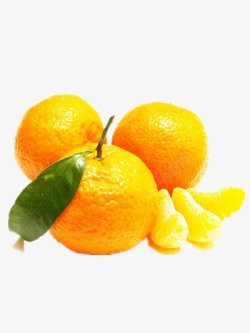 秋季成熟的橘子素材