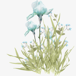 小清新蓝色花卉插画素材