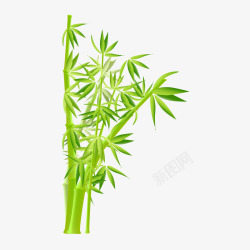 绿色竹子矢量图素材