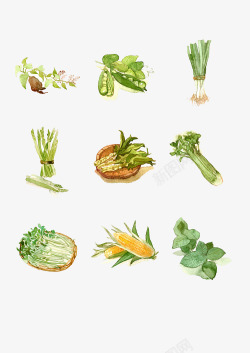 美食大餐卡通手绘蔬菜高清图片